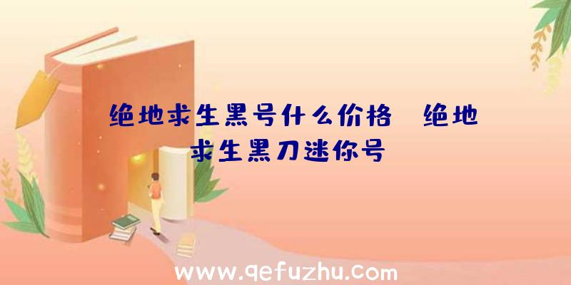「绝地求生黑号什么价格」|绝地求生黑刀迷你号